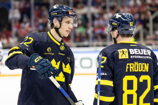 Lukas Vejdemo and Jesper Frödén of Sweden