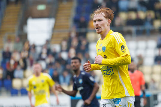 Falkenbergs Linus Borgström