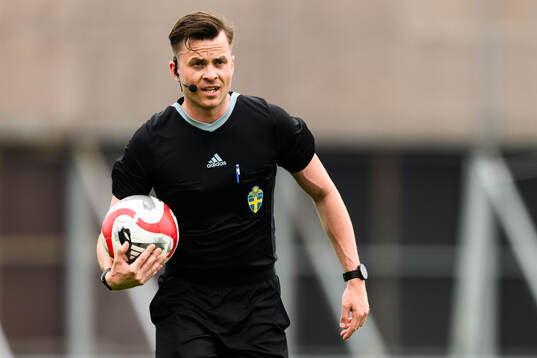 Domare Niclas Karlsson
