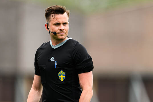 Domare Niclas Karlsson