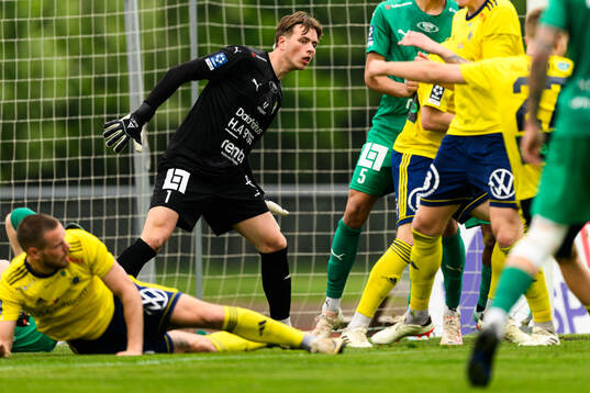 Ljungskiles Erik Westgärds