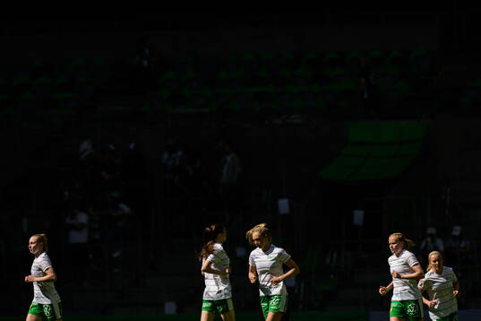 Hammarbys spelare