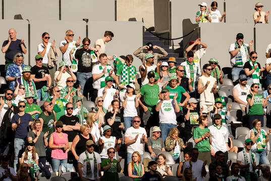 Hammarbys supportar