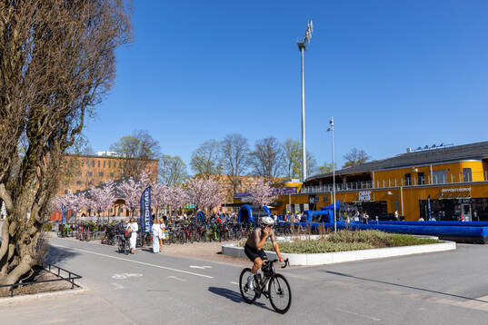Studenternas