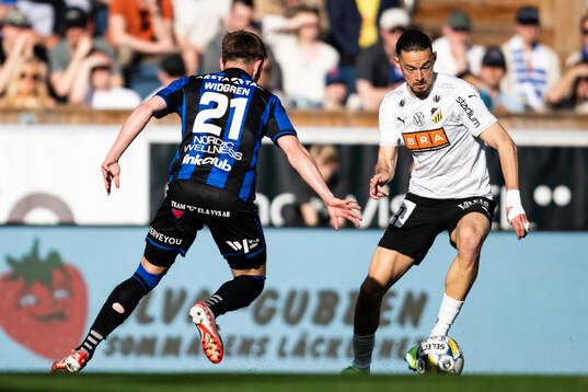 Häckens Amor Layouni