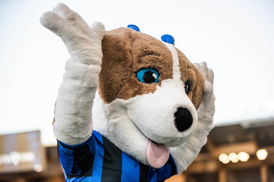 Sirius maskot Spurt