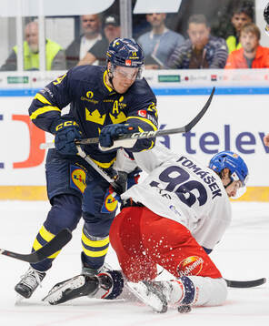 Joel Eriksson Ek of Sweden and David Tomasek of Czech