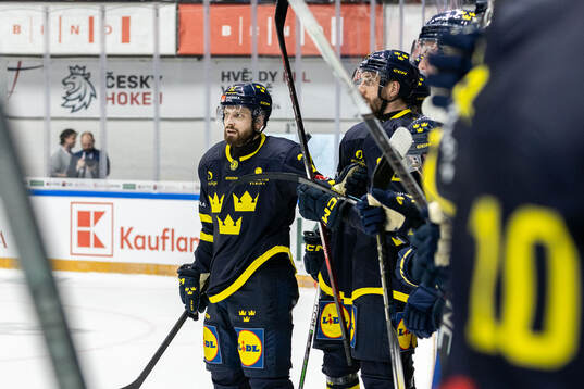 Lukas Bengtsson celebrates