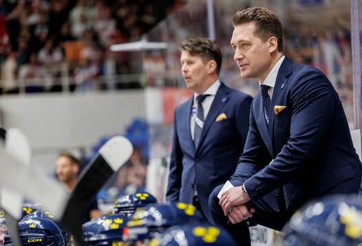 Head coach Sam Hallam of Sweden