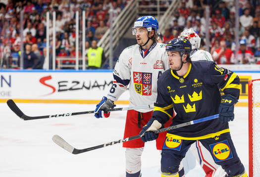 David Tomasek of Czech Republic and Alexander Holtz of