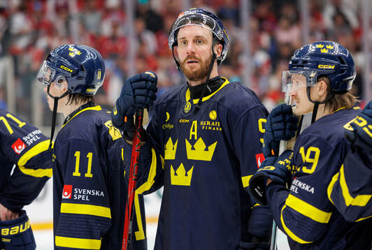 Patrik Nemeth of Sweden