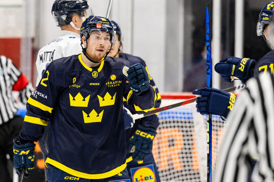 Jesper Fröden of Sweden celebrates the 3-3 goal