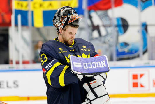 Goaltender Samuel Ersson looks dejected