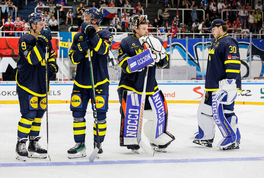 Fabian Zetterlund, Jonas Brodin, Goaltender Samuel Ersson