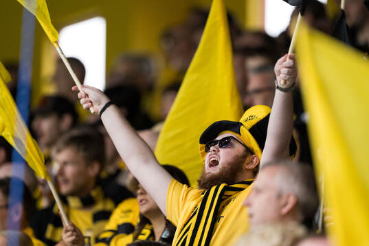 Elfsborg supporter