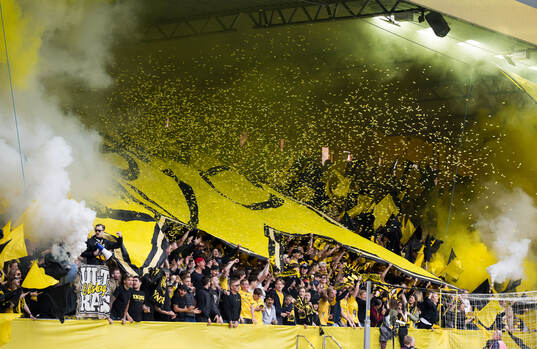 Tifo