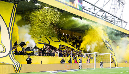 Tifo