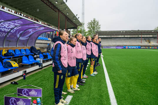 Players of Sweden
