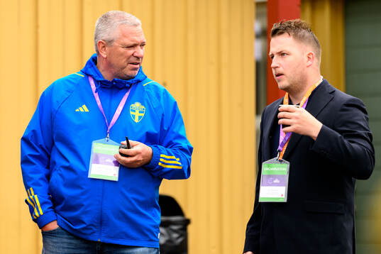 Martin Fredman, Head of security at the Swedish Football