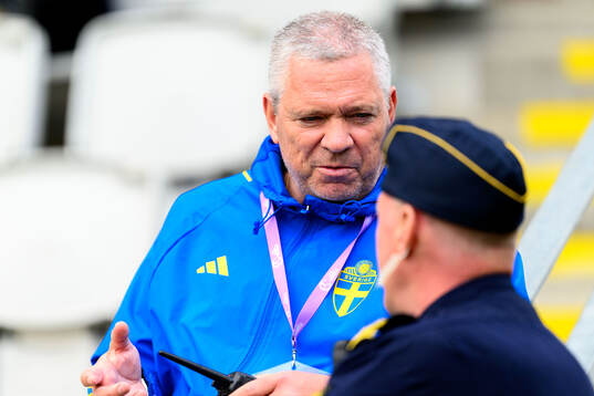 Martin Fredman, Head of security at the Swedish Football