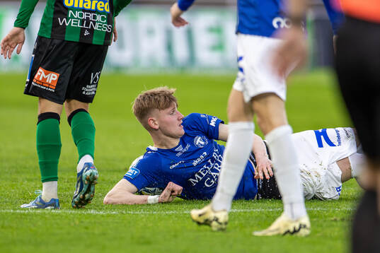 Trelleborgs Karl Wendt