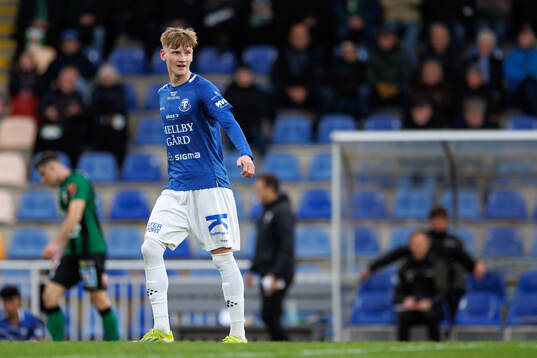 Trelleborgs Karl Wendt
