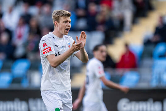 Helsingborgs William Westerlund
