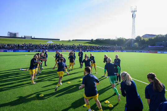 Players of Sweden