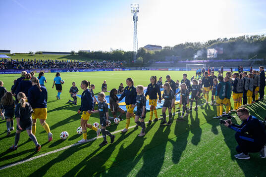 Players of Sweden