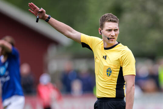 Domare Rasmus Eriksson