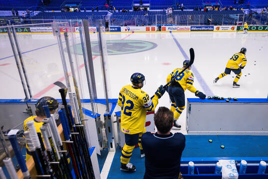 Players of Sweden