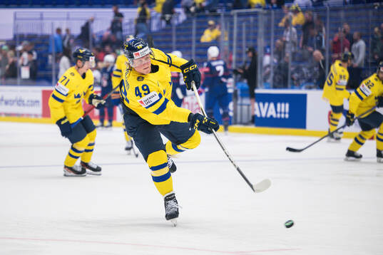 Fabian Zetterlund of Sweden