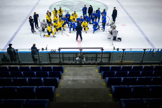 Players gather around head coach Sam Hallam of Sweden at a