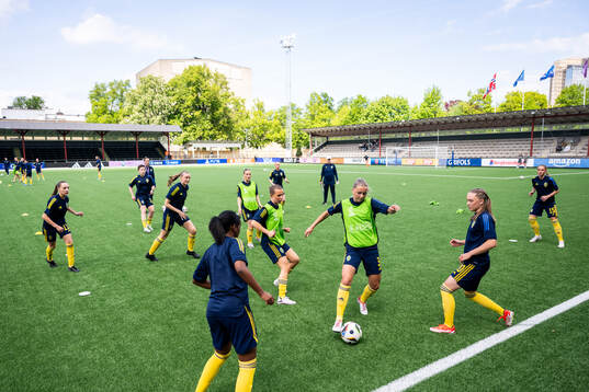 Players of Sweden