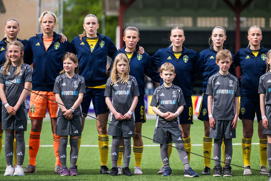 Players of Sweden