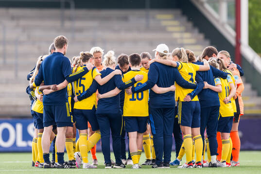 Players of Sweden