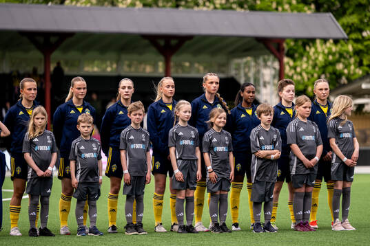 Players of Sweden