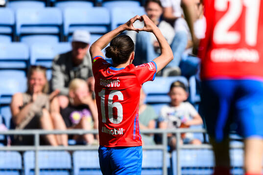 Helsingborgs Ervin Gigovic jublar