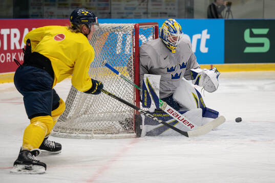 Fabian Zetterlund and goaltender Jesper Wallstedt of Sweden