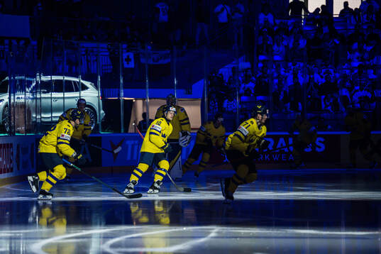Players of Sweden