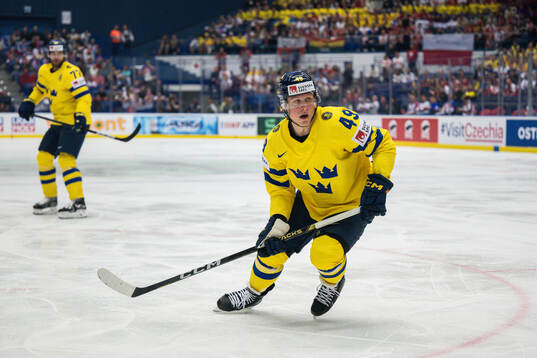 Fabian Zetterlund of Sweden