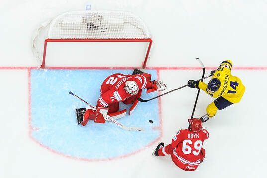 Goaltender David Zabolotny and Mateusz Bryk of Poland
