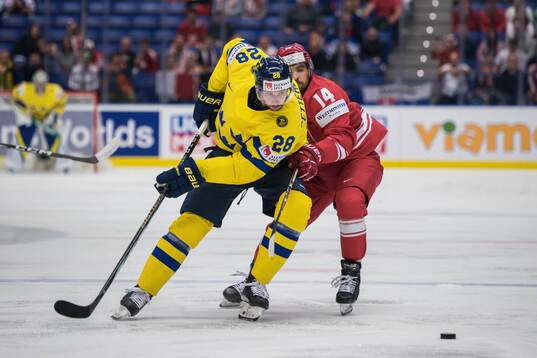 Marcus Pettersson of Sweden and Dominik Pas of Poland