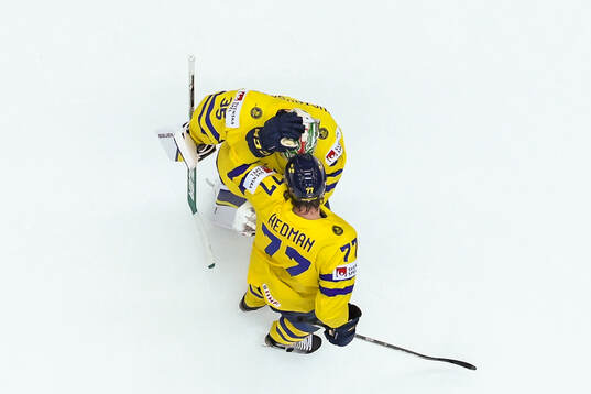 Goaltender Filip Gustavsson and Victor Hedman celebrate