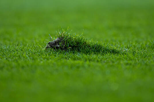 Quality of the grass at Åråsen Stadion