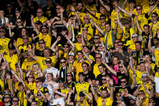 Spectators in the stands