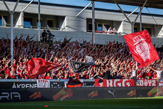 Spectators in the stands