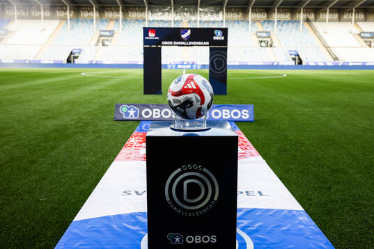 En fotboll