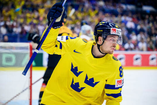 Jesper Frödén of Sweden celebrates