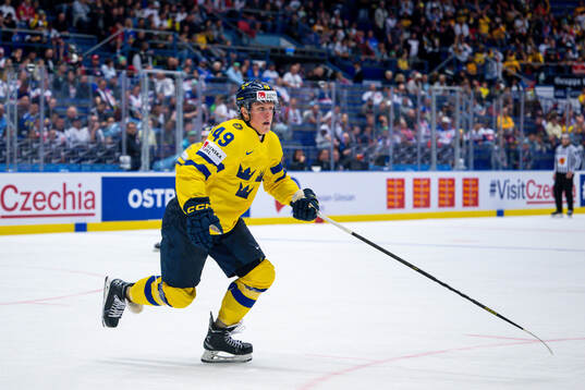 Fabian Zetterlund of Sweden
